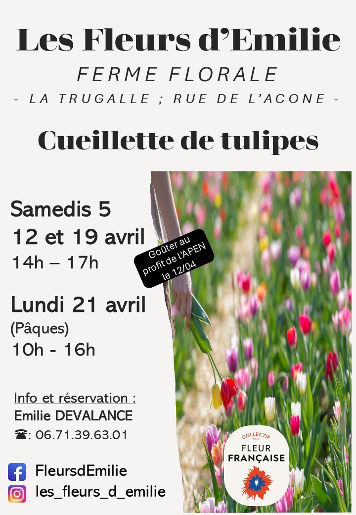 202502_Affiche_cueillette_vf_Apen (1)