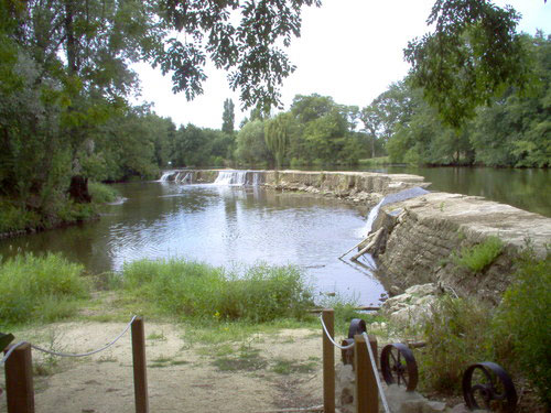 Les bords de Sarthe