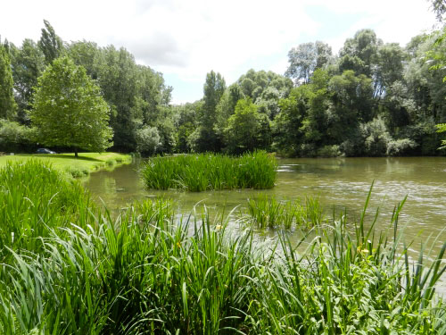 Les bords de Sarthe