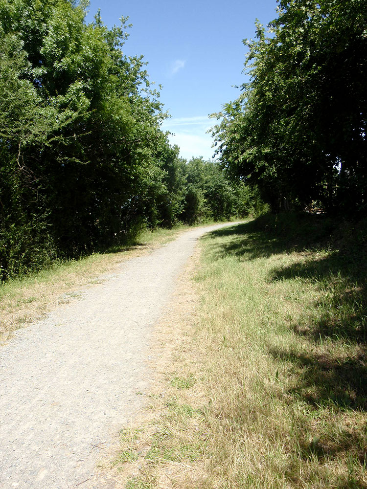 Neuville et ses chemins