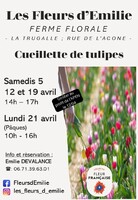 202502_Affiche_cueillette_vf_Apen (1)
