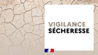 SECHERESSE.JPG